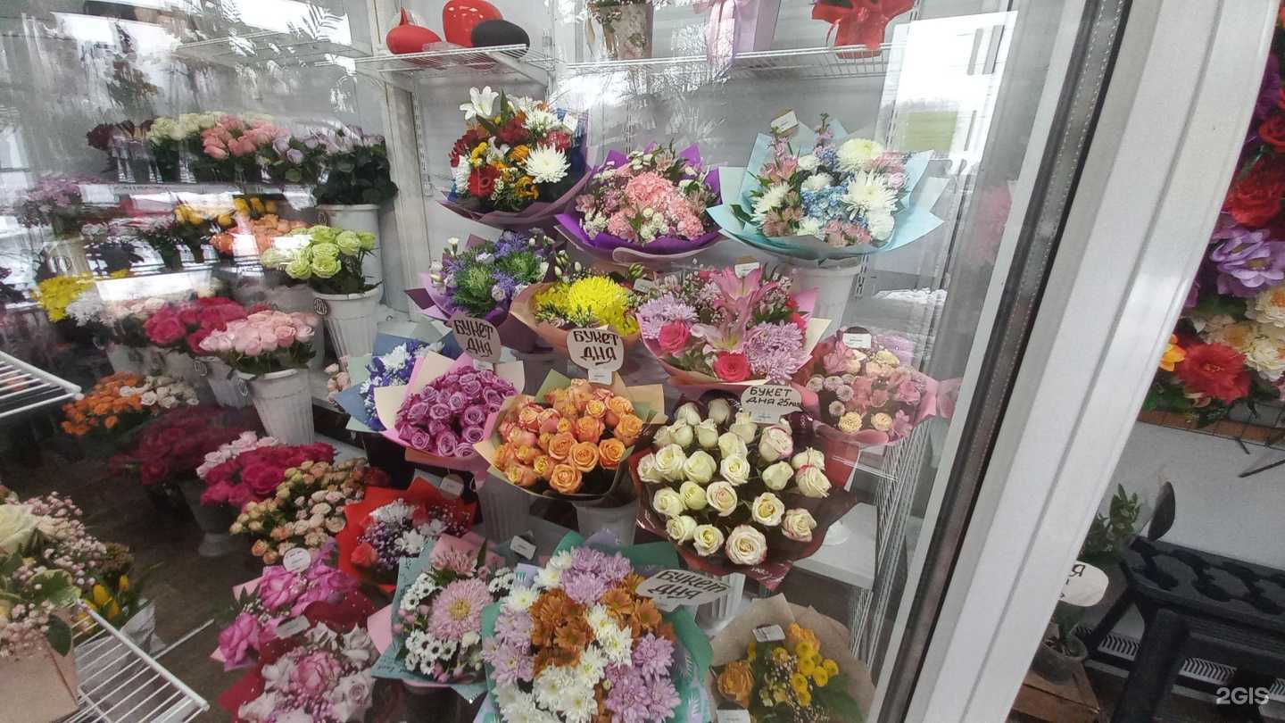 Отзывы на компанию Мехико в г. Ярославль c фото