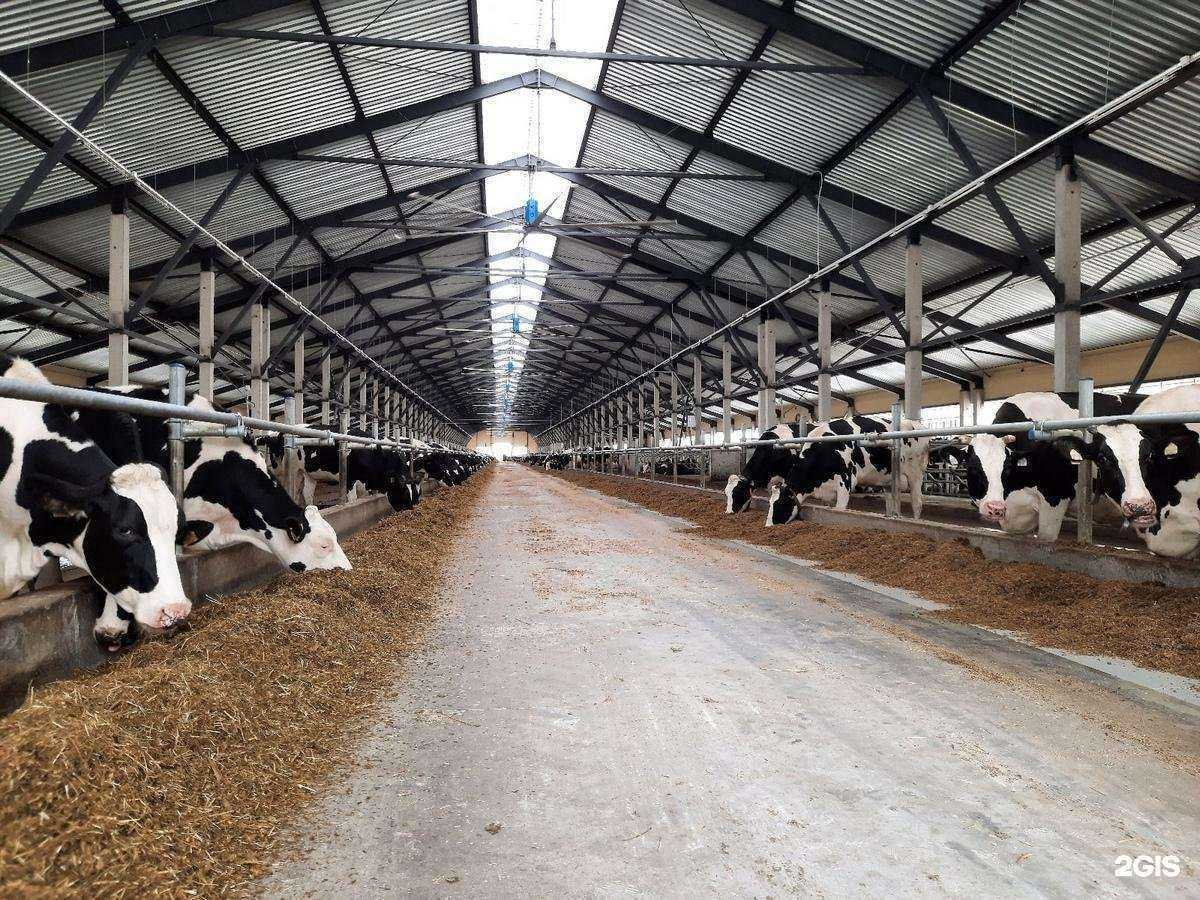 Отзывы на компанию Альфа-строй в г. Рязань c фото