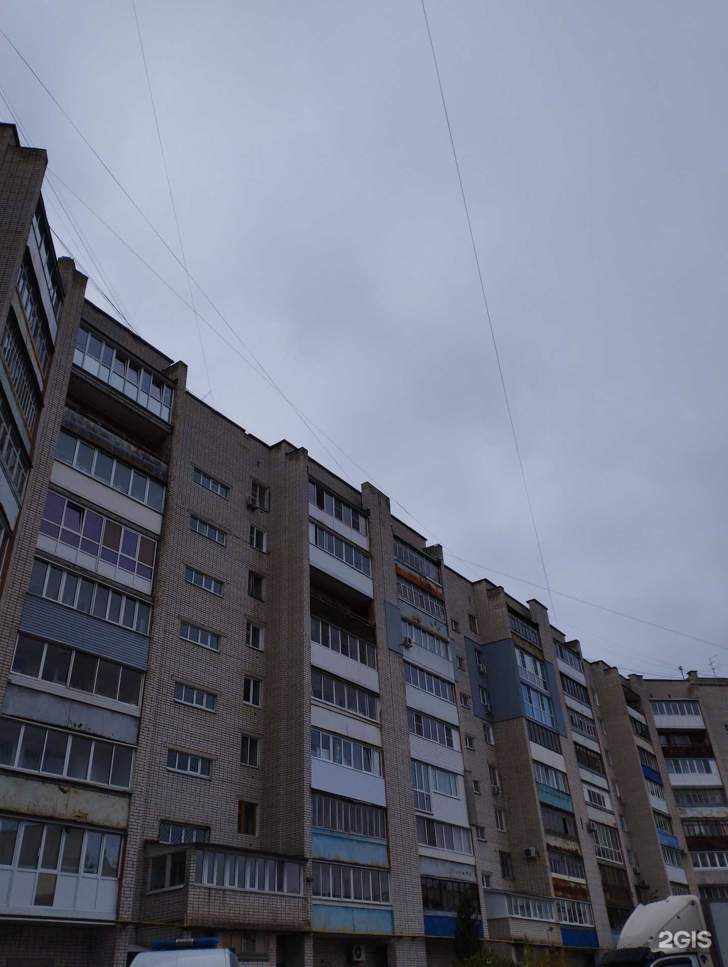 Отзывы на компанию Зоогалерея в Дзержинске c фото - фотография 2 из 2