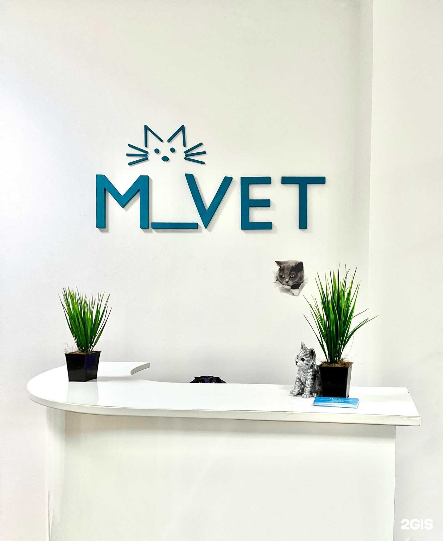 Отзывы на компанию M_Vet в г. Чебоксары c фото