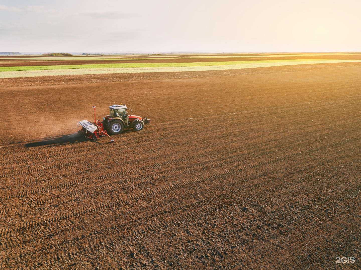 Отзывы на компанию Еврохим трейдинг Рус в Воронеже c фото