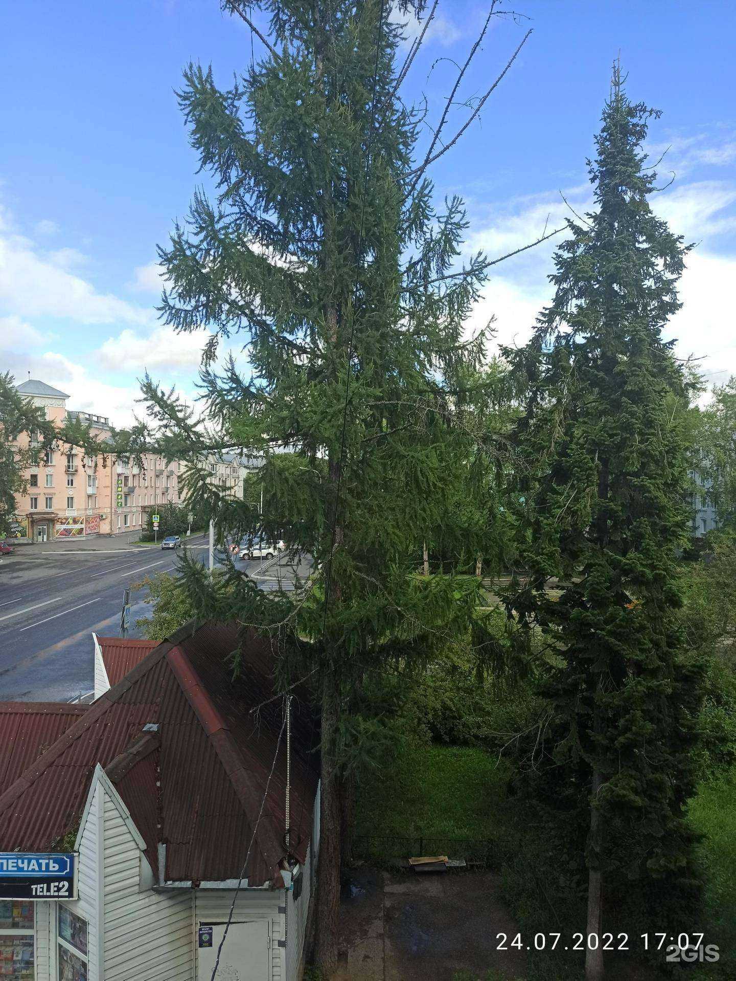 Отзывы на компанию Аптека-инфо в Северске c фото - фотография 2 из 2