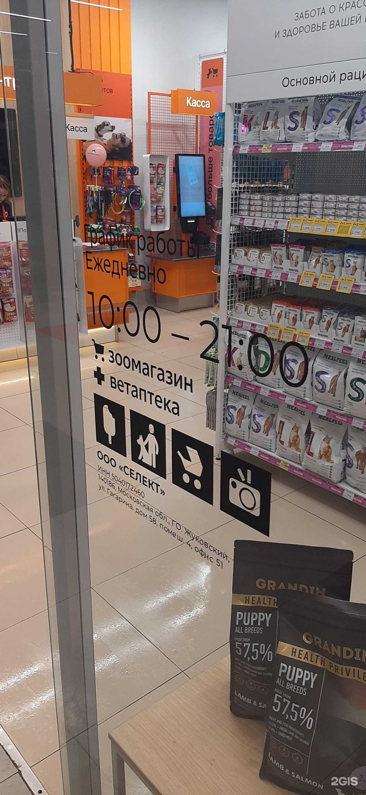 Отзывы на компанию Четыре лапы в Архангельске c фото