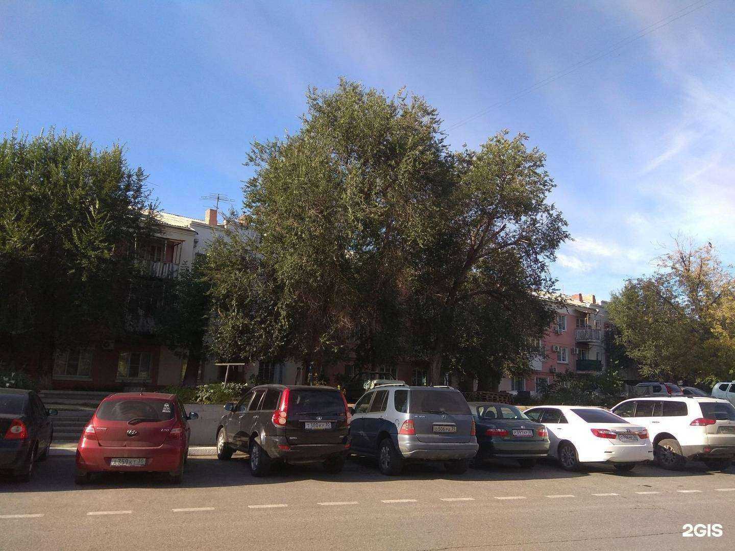 Отзывы на компанию bbstrekoza в Астрахани c фото - фотография 2 из 2