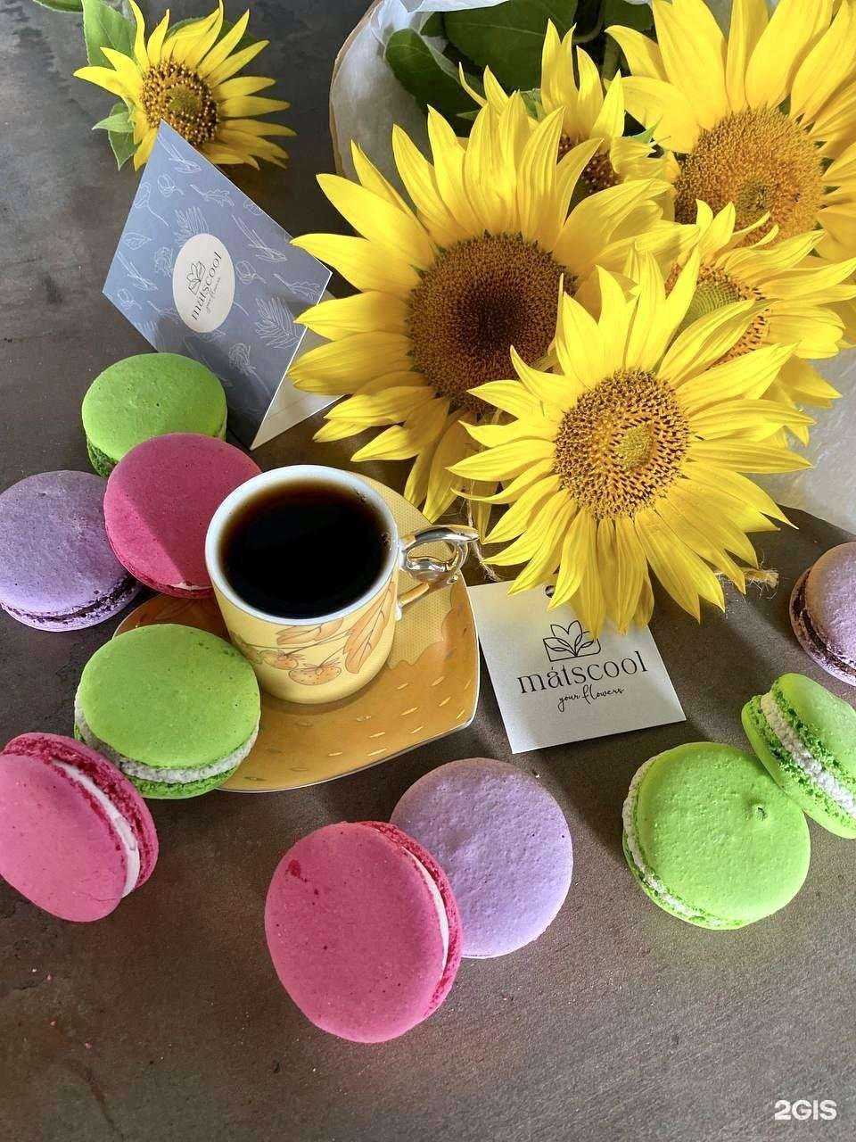 Отзывы на компанию Леди мармелад в Новороссийске c фото