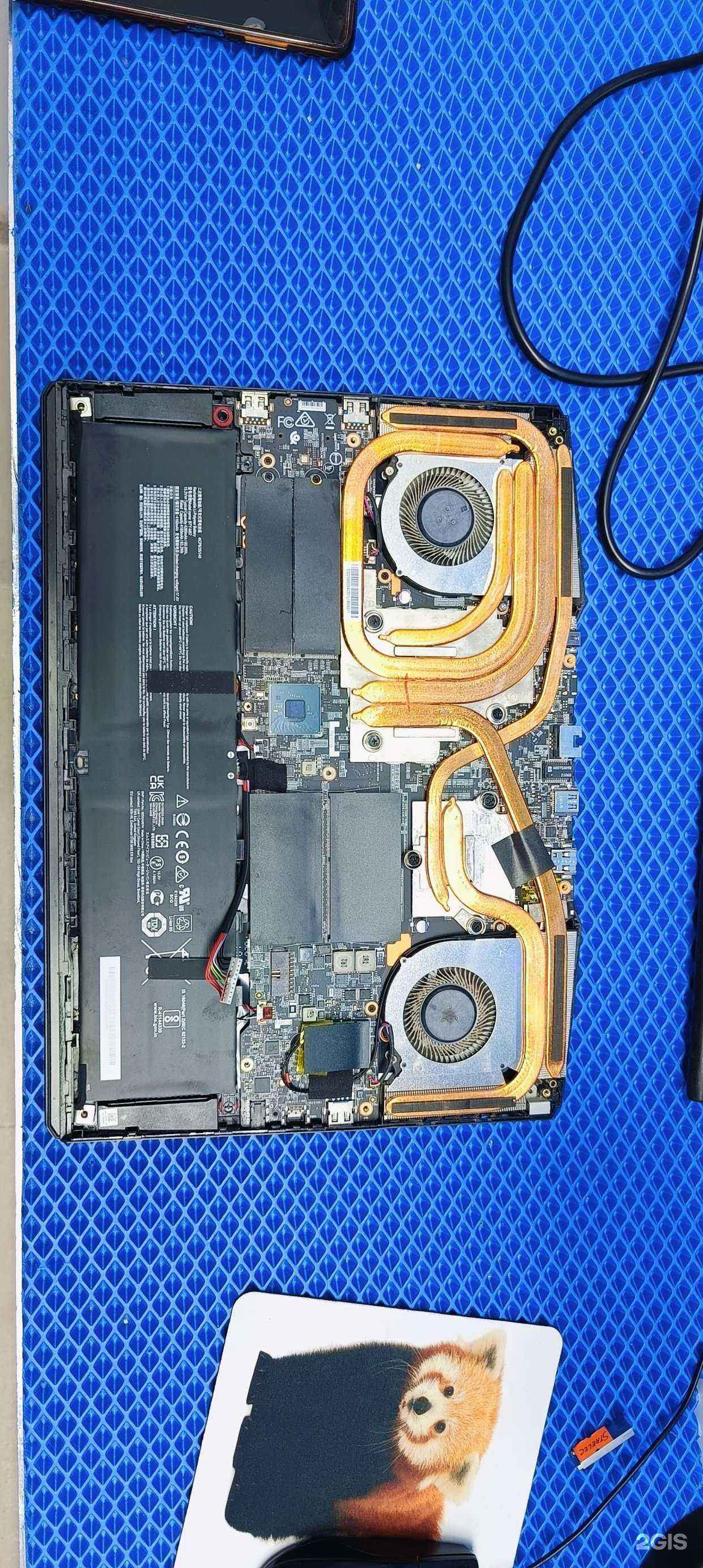 Отзывы на компанию Панда сервис в Липецке c фото