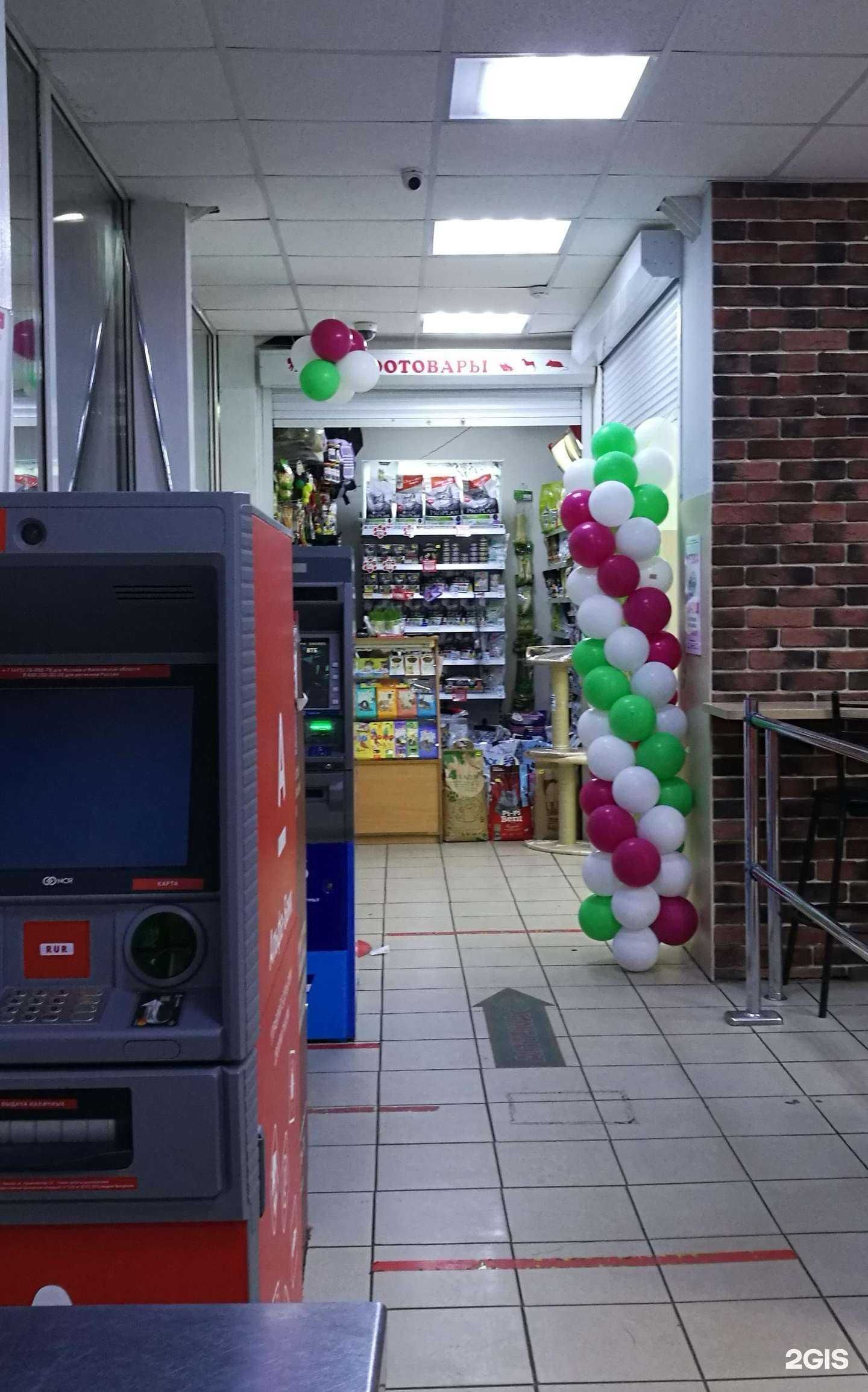 Отзывы на компанию Хвостик в г. Архангельск c фото