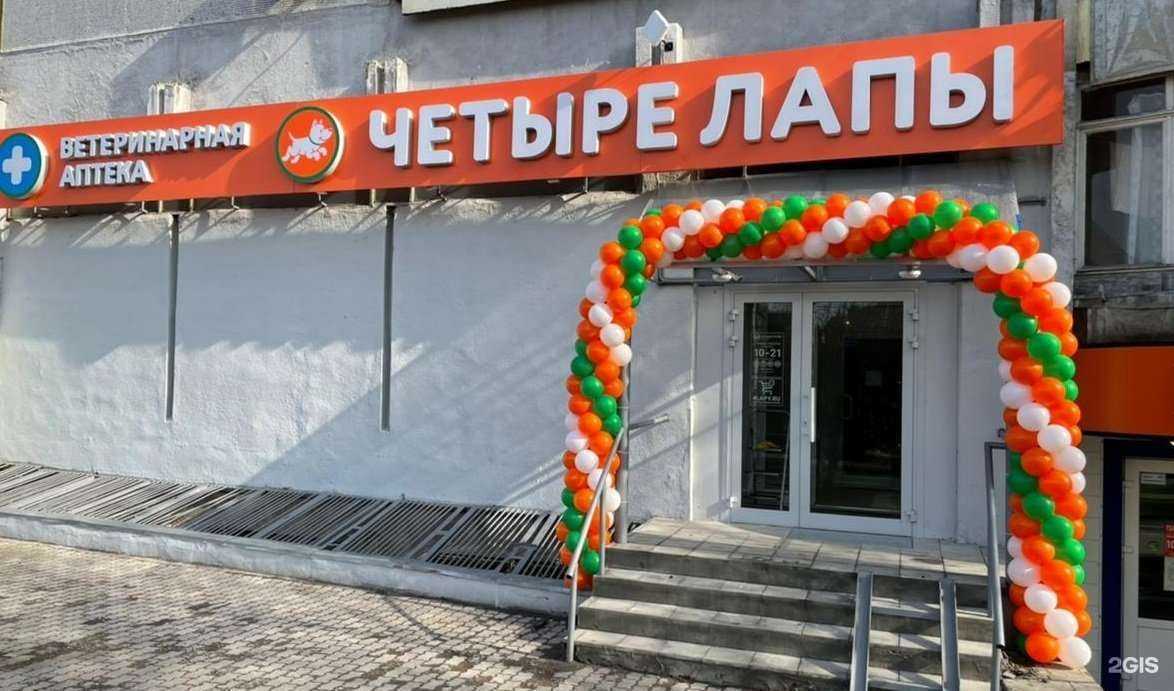 Отзывы на компанию Четыре лапы в Туле c фото