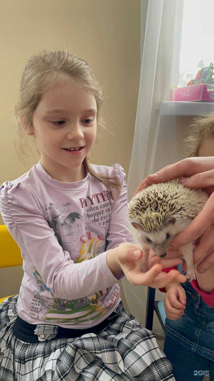 Отзывы на компанию 100%Доброты в Новороссийске c фото