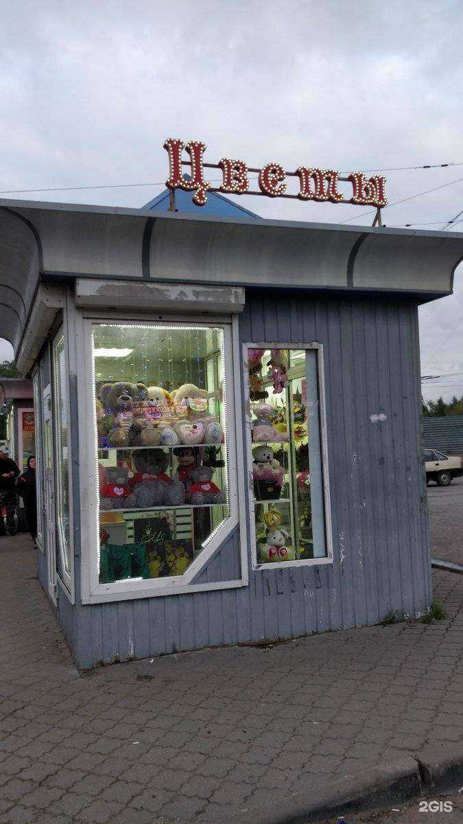 Отзывы на компанию MS в Рязани c фото