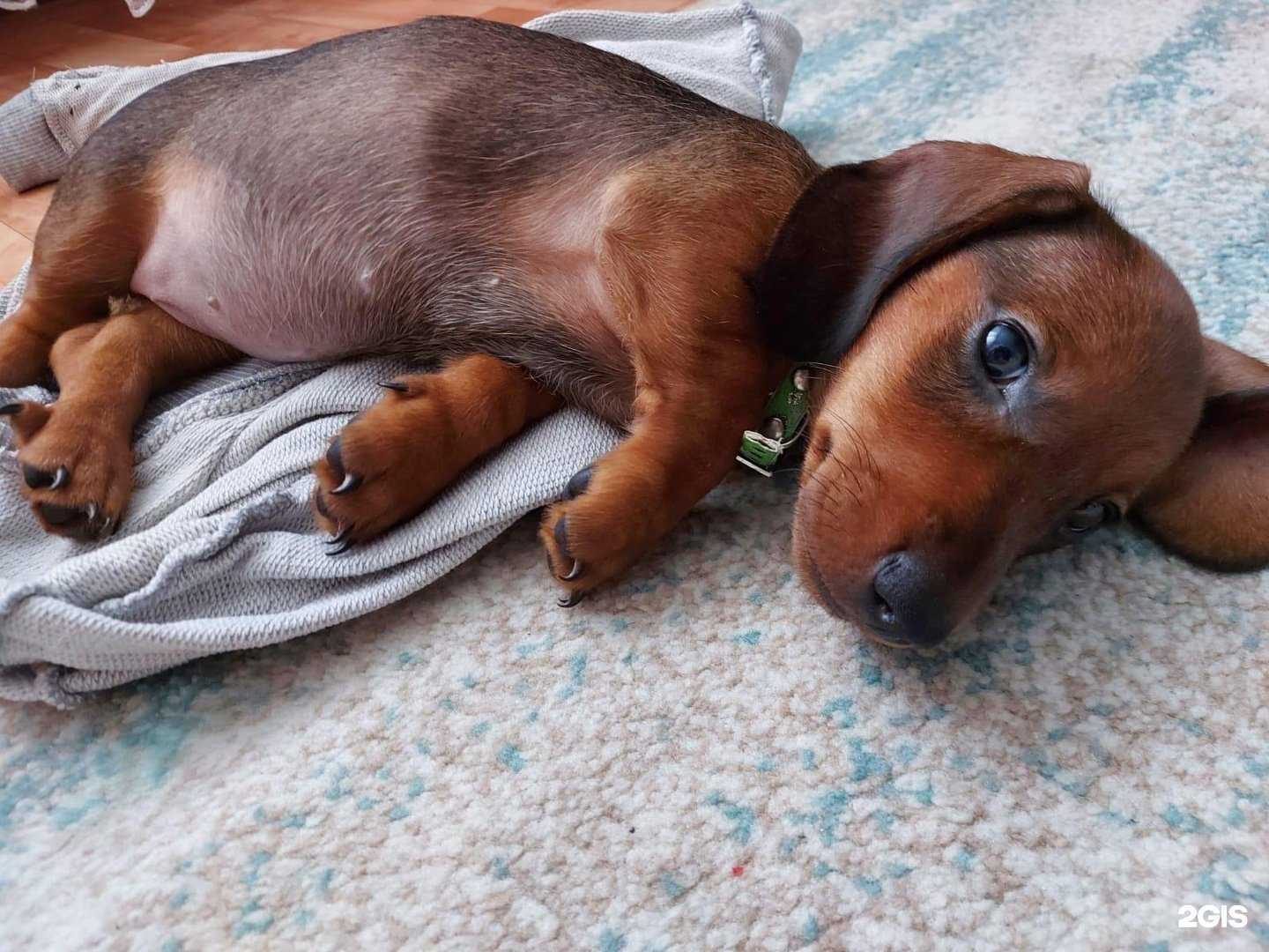 Отзывы на компанию Мобил сервис в Набережных Челнах c фото