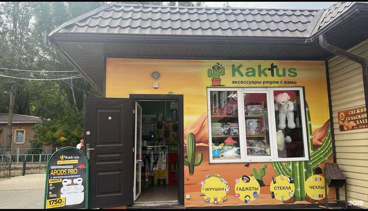 Отзывы на компанию Kaktus в Астрахани c фото