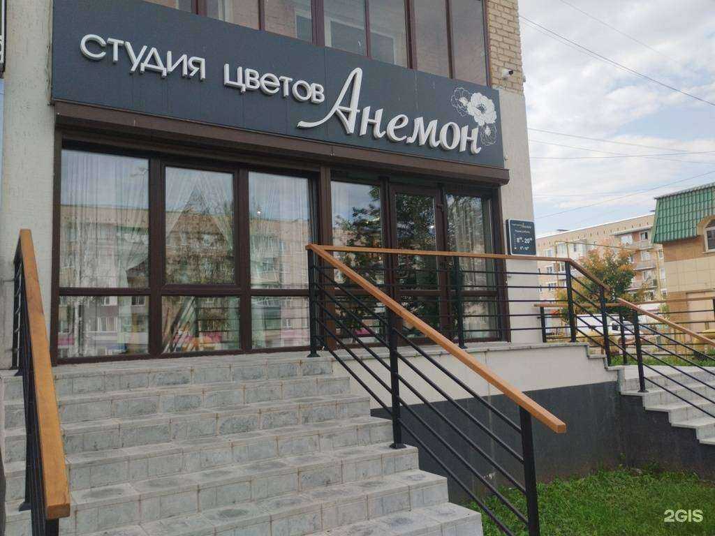 Отзывы на компанию Anemon в Невьянске c фото