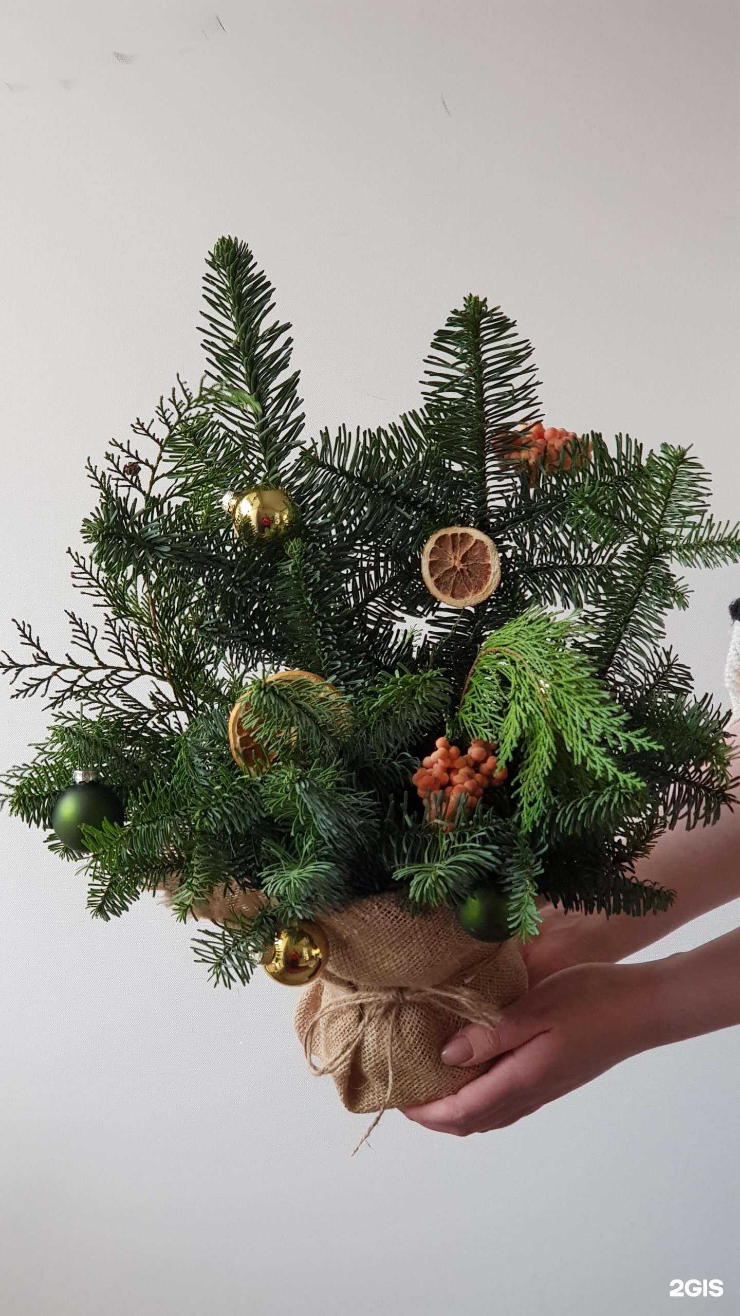 Отзывы на компанию Поле в г. Екатеринбург c фото