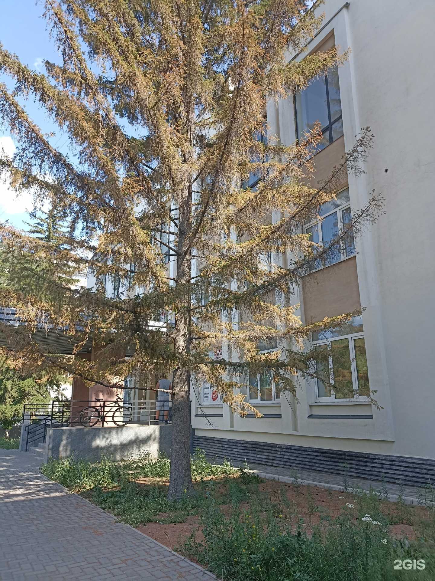 Отзывы на компанию lavkamalyavka в Орске c фото - фотография 2 из 2