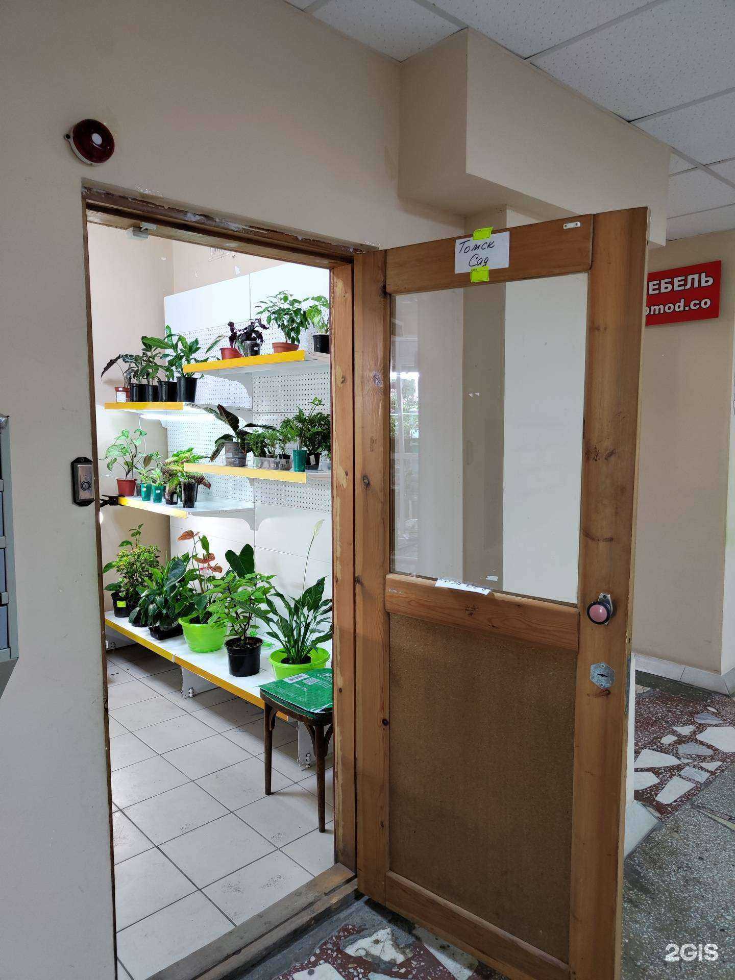 Отзывы на компанию Томский сад в г. Томск c фото