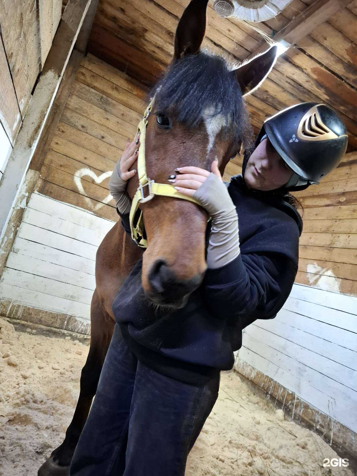 Отзывы на компанию Грация в Новокузнецке c фото