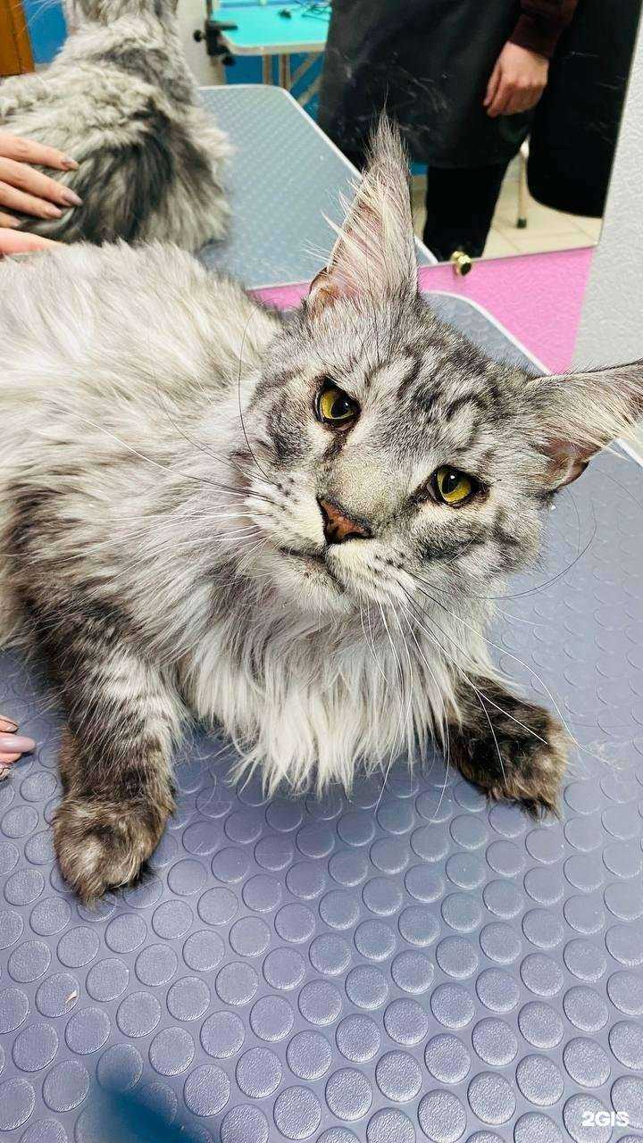 Отзывы на компанию D&C в г. Томск c фото