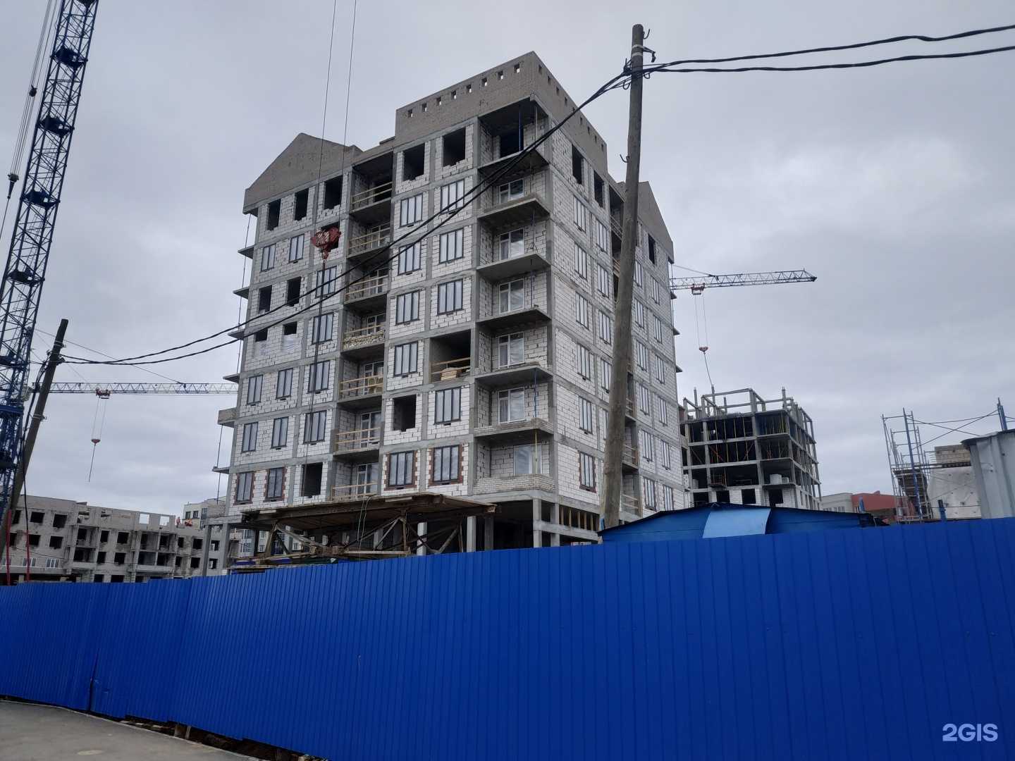 Отзывы на компанию Макси Флора в Кирове c фото - фотография 2 из 2