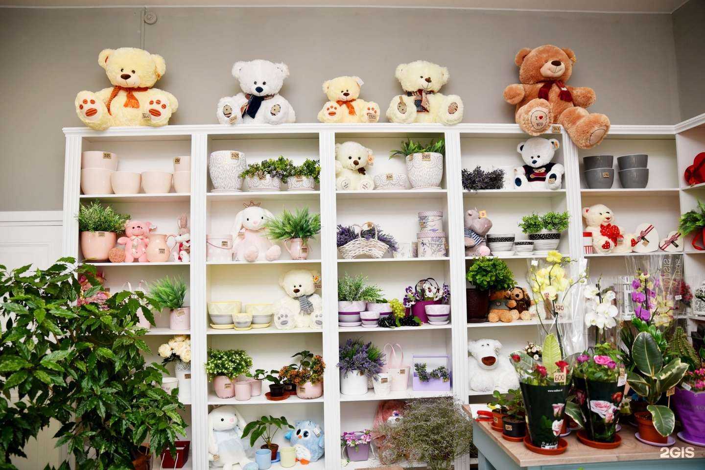 Отзывы на компанию Жасмин в Йошкар-Оле c фото