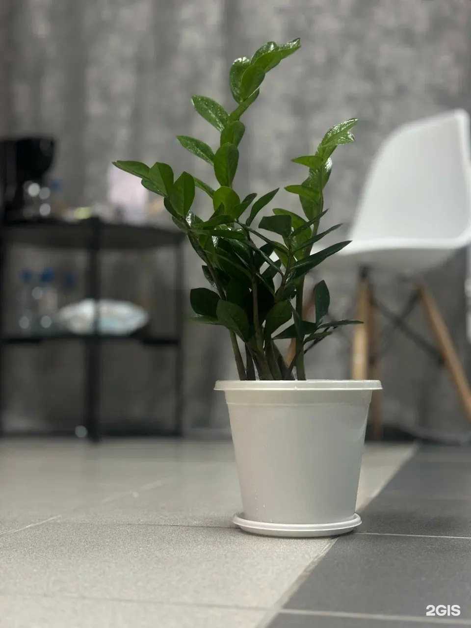 Отзывы на компанию VoskEpil в г. Губаха c фото