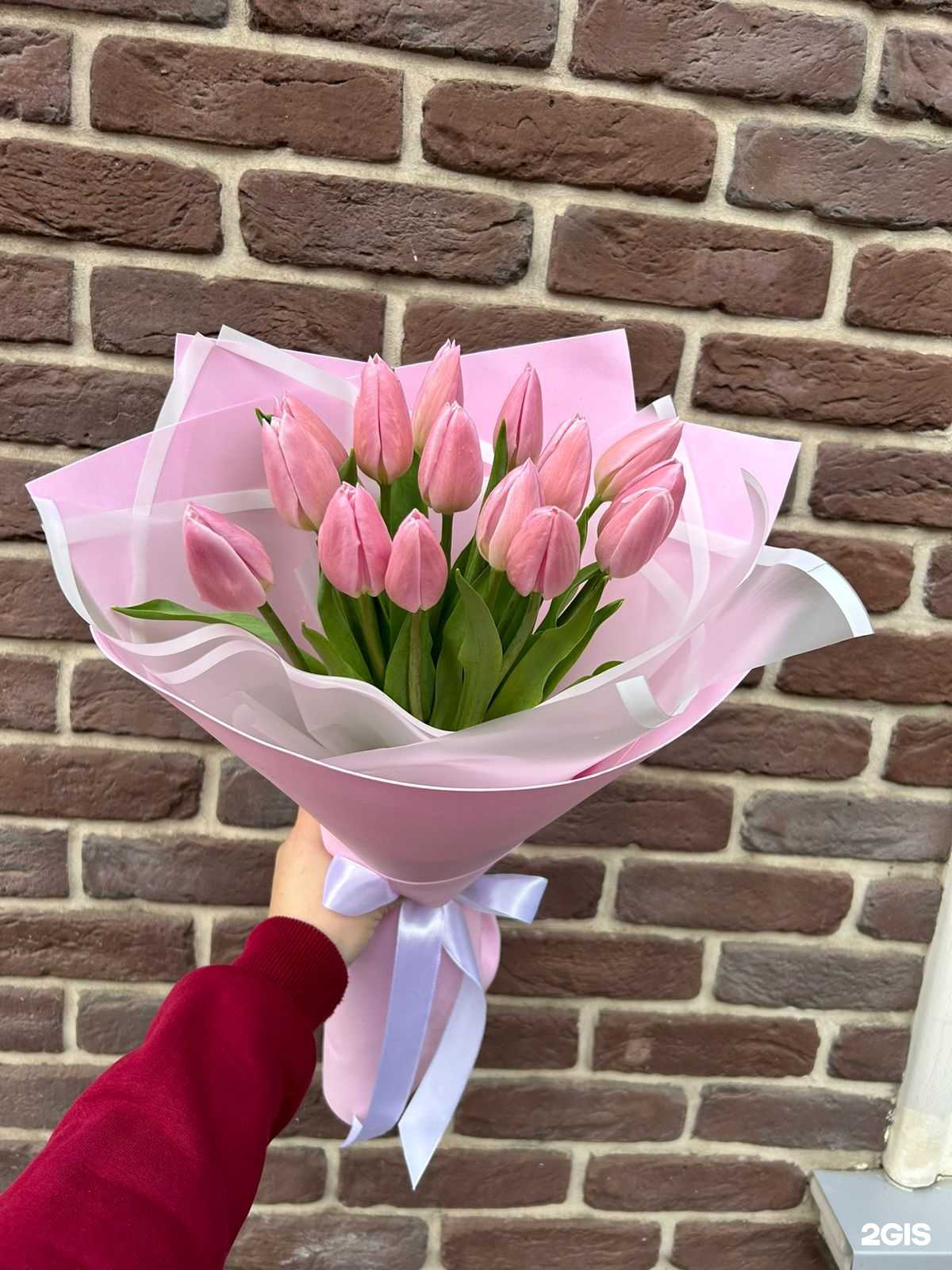 Отзывы на компанию Шиповник в г. Краснодар c фото