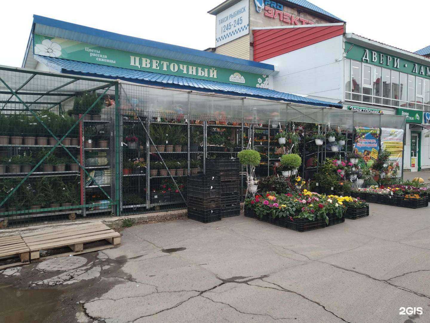 Отзывы на компанию Лазаревское в Рыбинске c фото