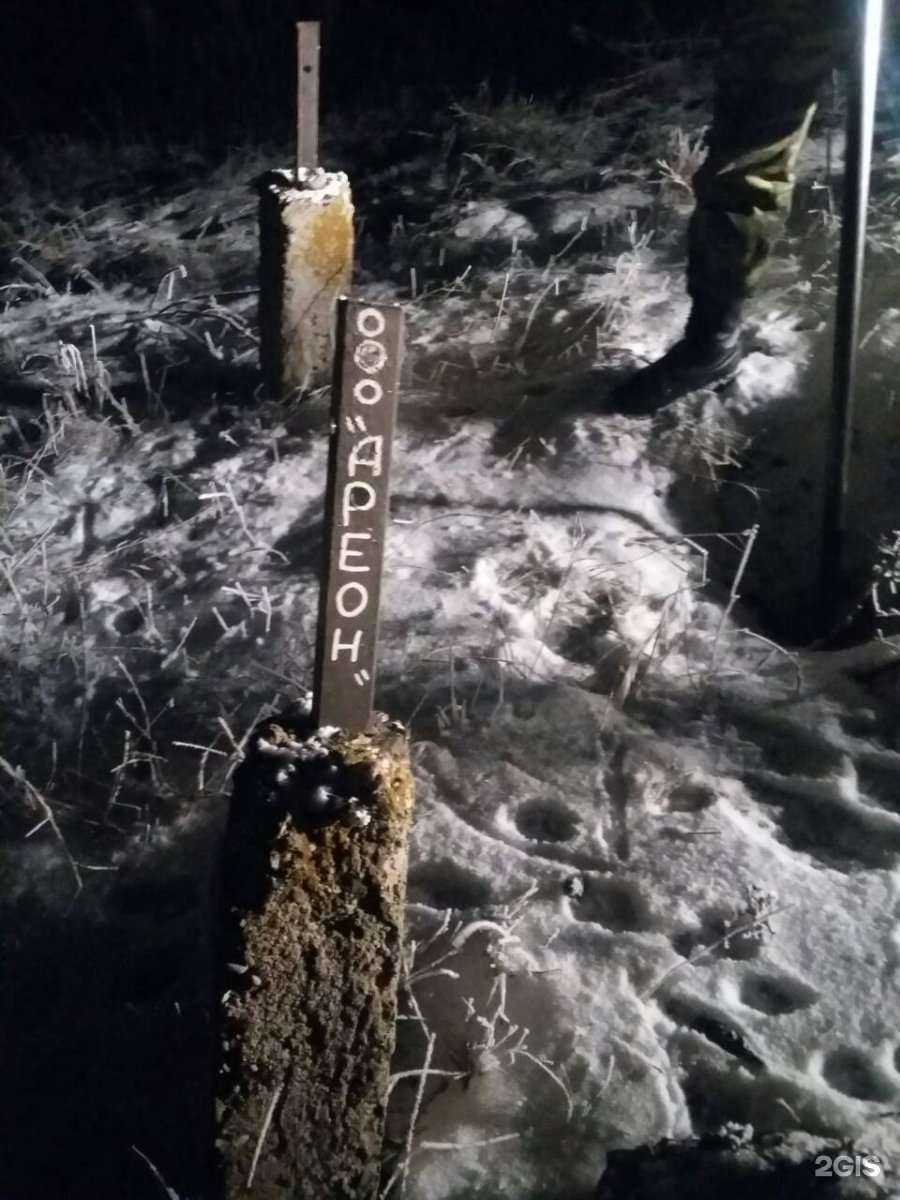 Отзывы на компанию Ареон в Волгограде c фото