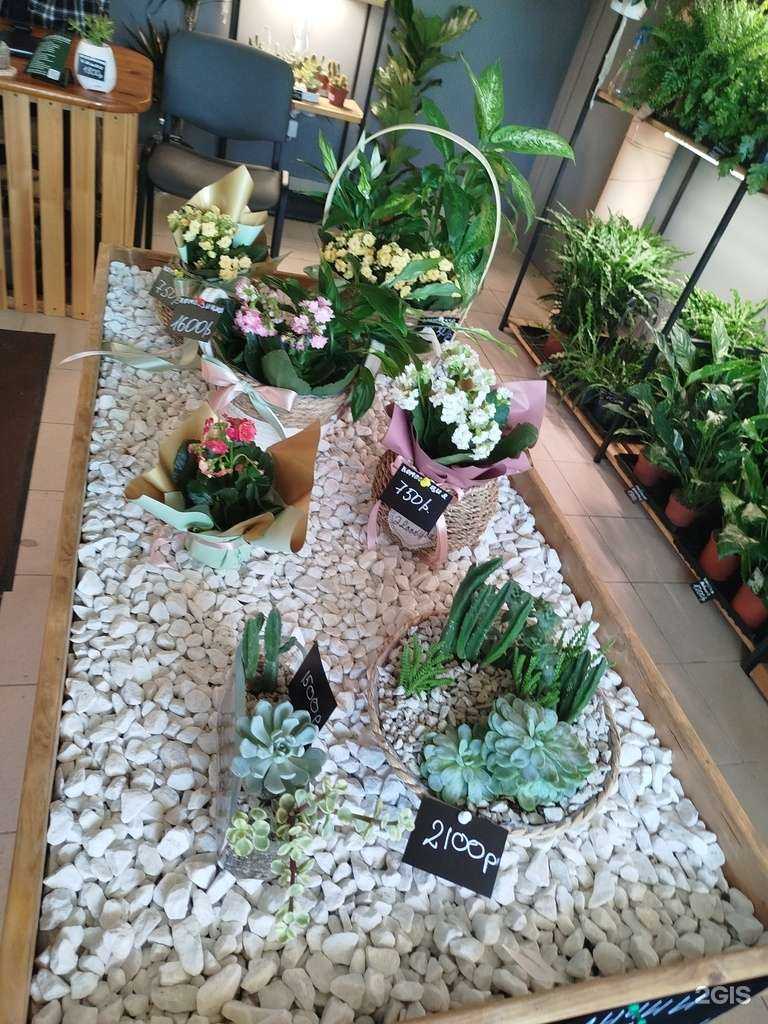 Отзывы на компанию Живой Декор в г. Бор c фото