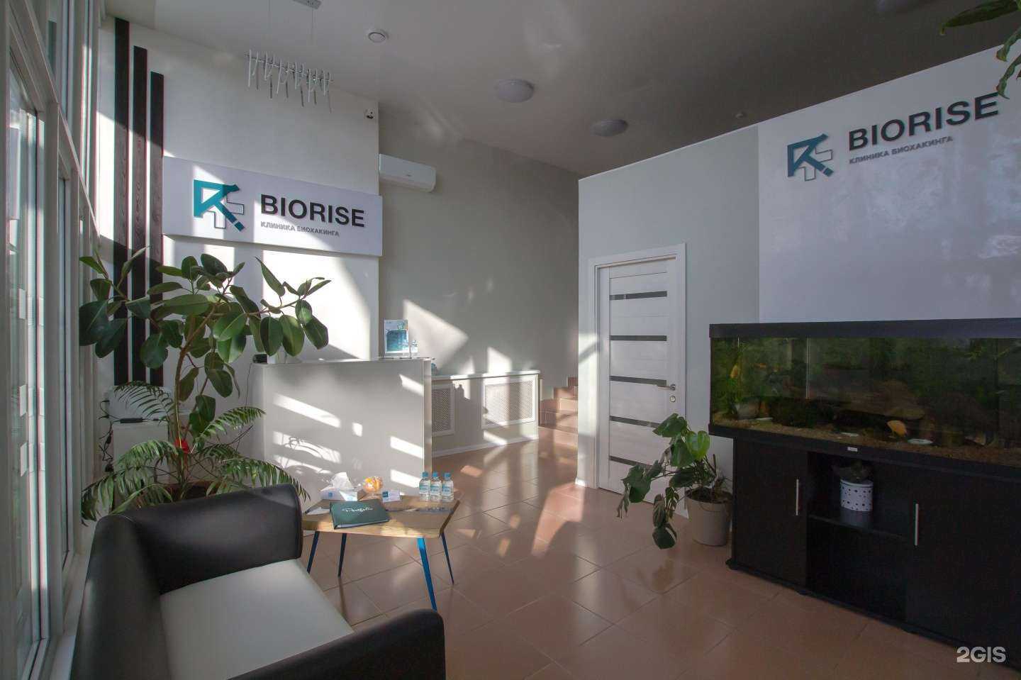 Отзывы на компанию Biorise в Владивостоке c фото