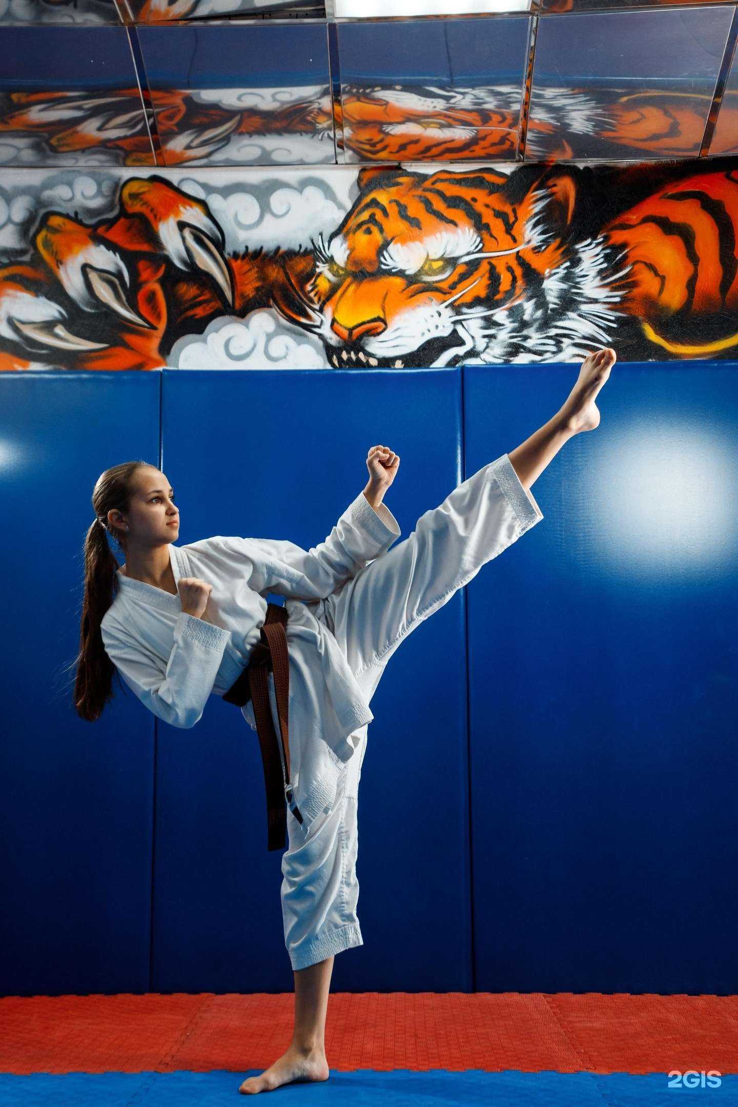 Отзывы на компанию Саппоро в г. Новокузнецк c фото