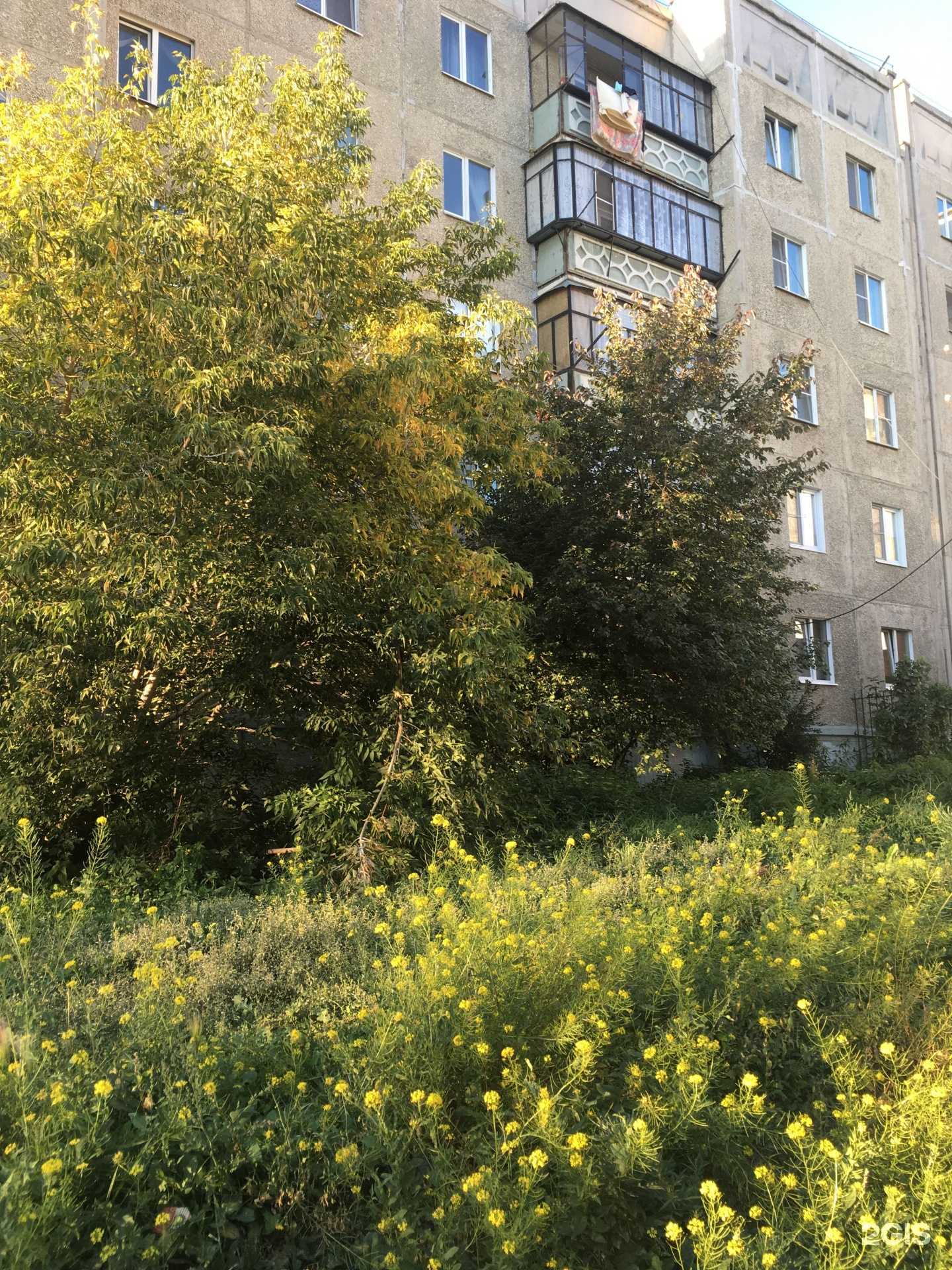 Отзывы на компанию Свой Доктор в Чебаркуле c фото - фотография 2 из 2