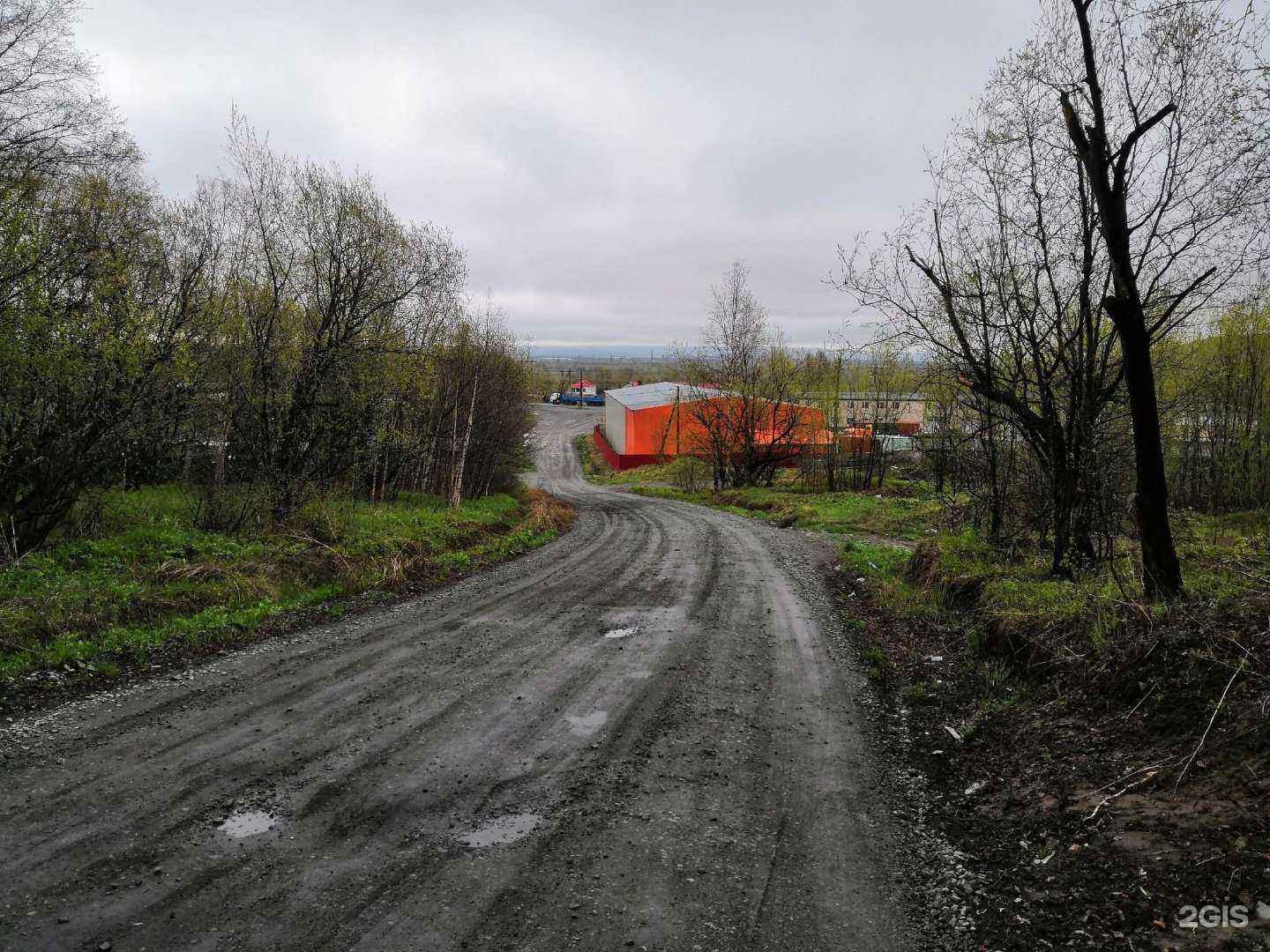 Отзывы на компанию Елизовская районная станция по борьбе с болезнями животных в Елизове c фото