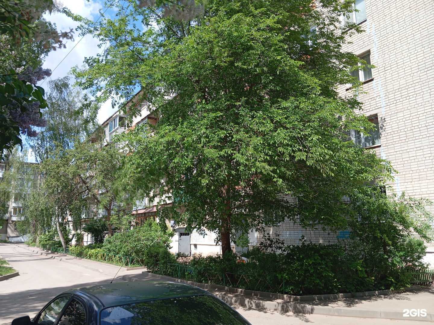 Отзывы на компанию Детско-юношеский центр в Воронеже c фото - фотография 2 из 2