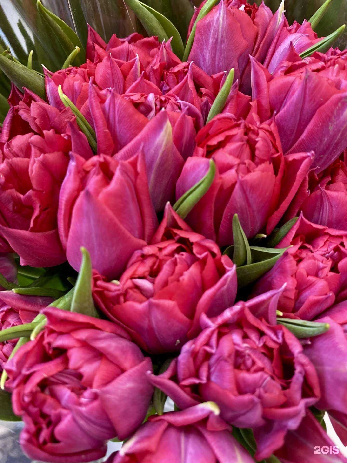 Отзывы на компанию 101 роза в Сургуте c фото