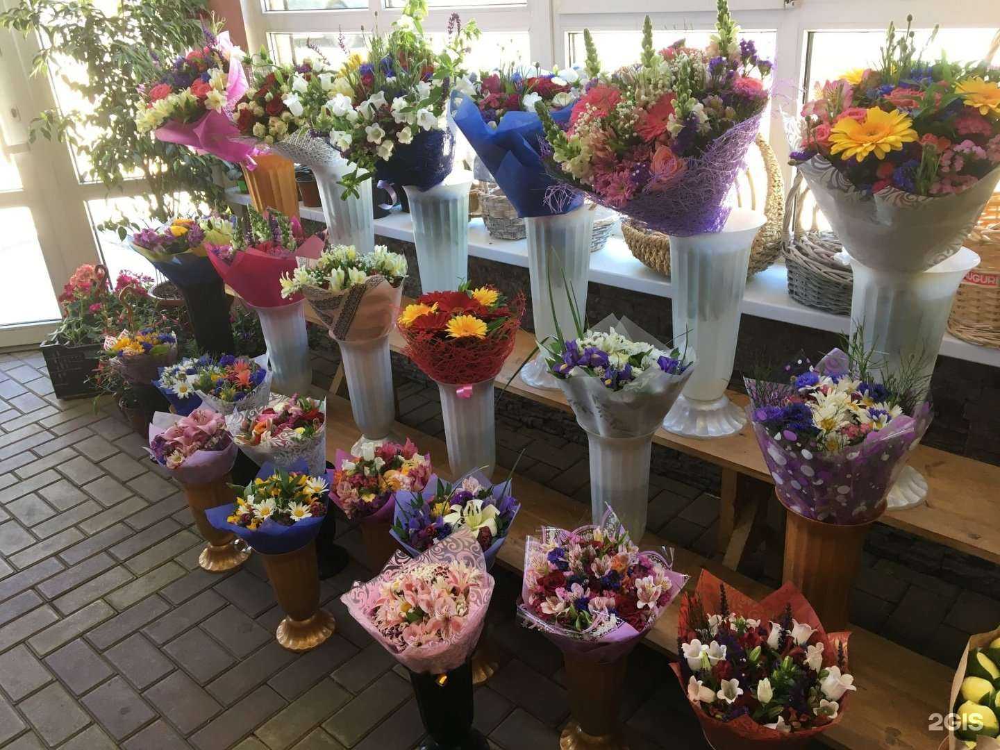 Отзывы на компанию Костас в Сочи c фото