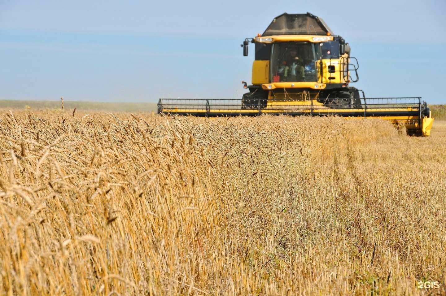 Отзывы на компанию Алтаур в г. Омск c фото