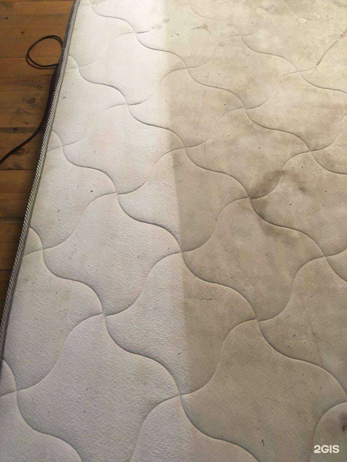 Отзывы на компанию Компания по аренде моющего пылесоса и пароочистителя в г. Улан-Удэ c фото