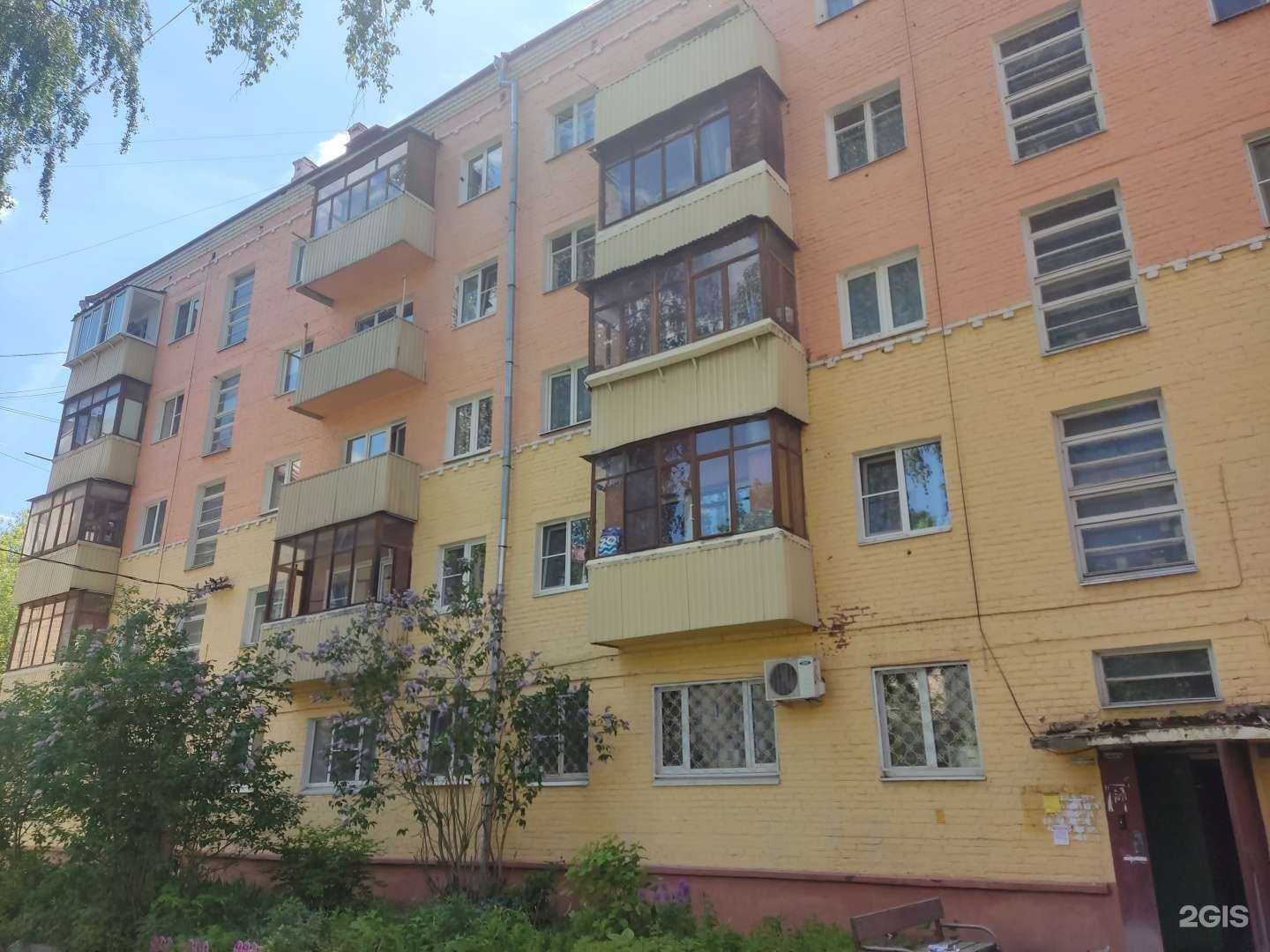 Отзывы на компанию Пушистая братва в Подольске c фото - фотография 2 из 2