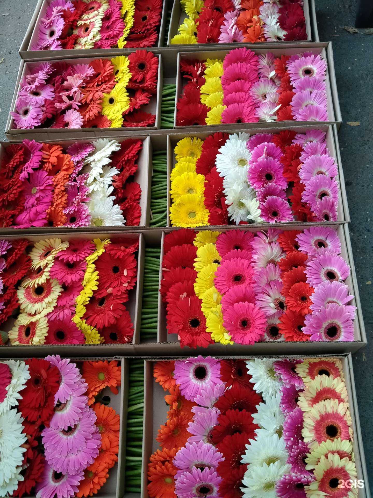 Отзывы на компанию Цветочный магазин в г. Екатеринбург c фото