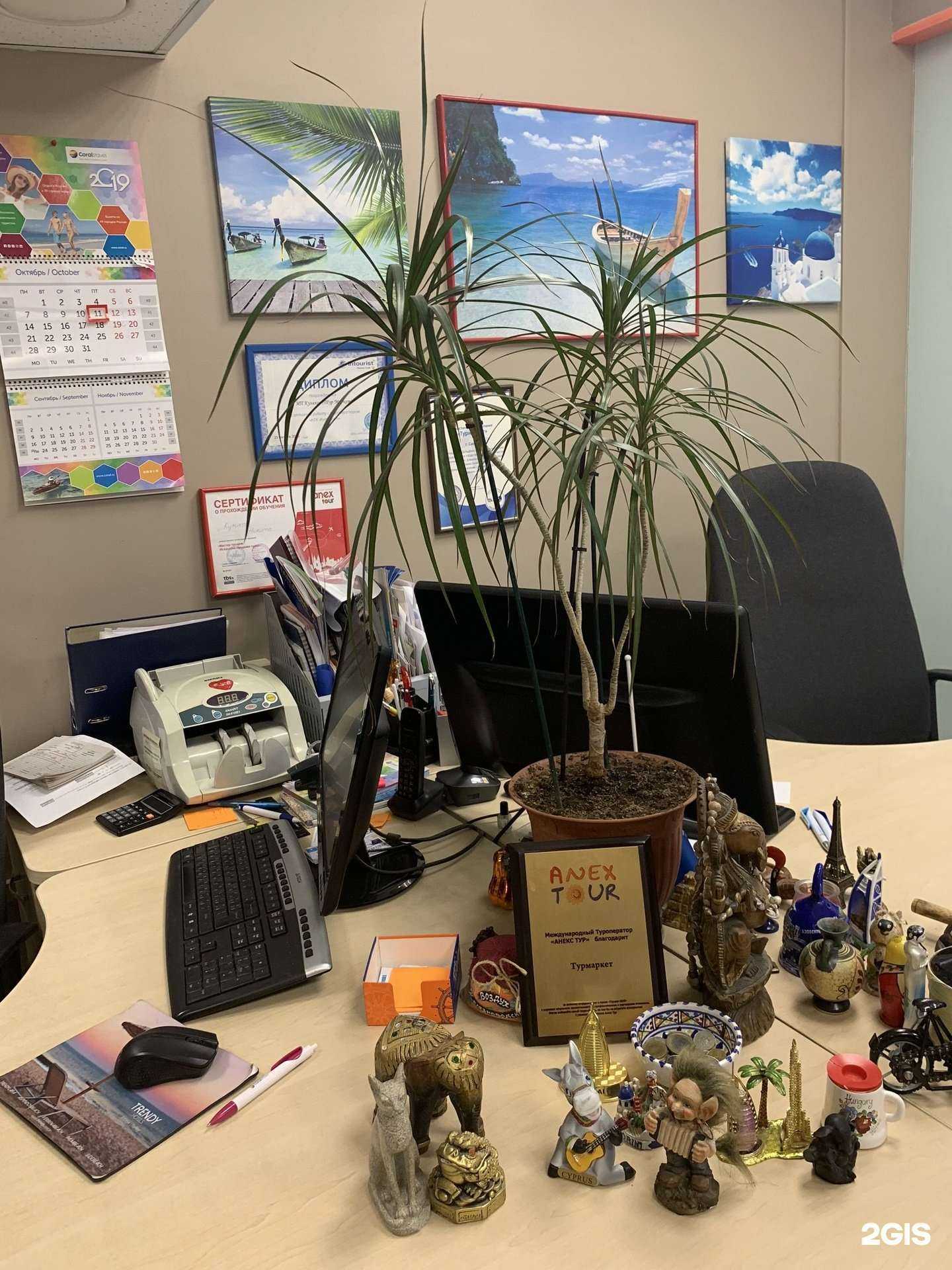 Отзывы на компанию Турмаркет в г. Самара c фото