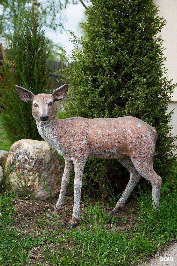 Отзывы на компанию Каменный век в Воронеже c фото