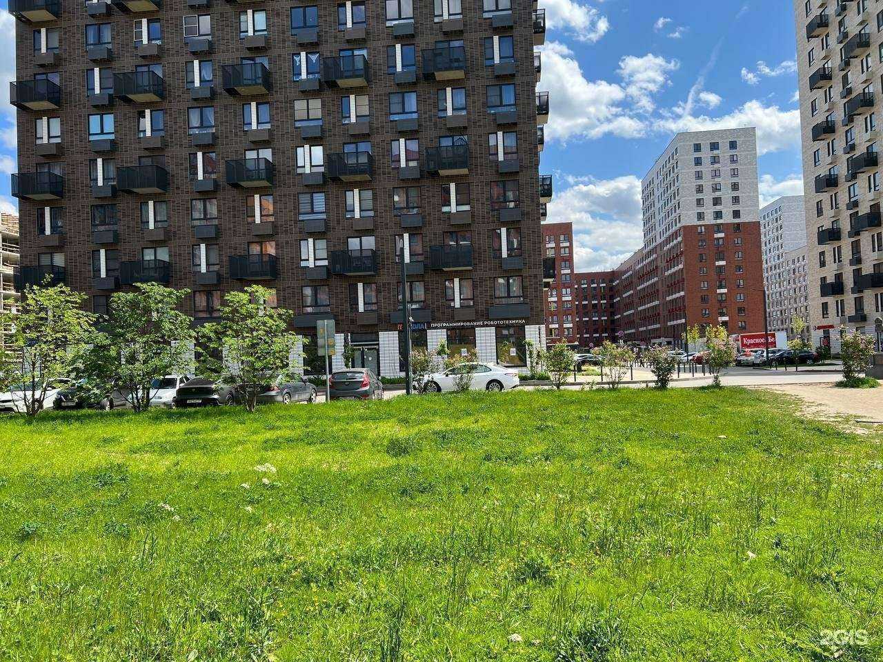 Отзывы на компанию Кодер Лаб в Коммунарке c фото