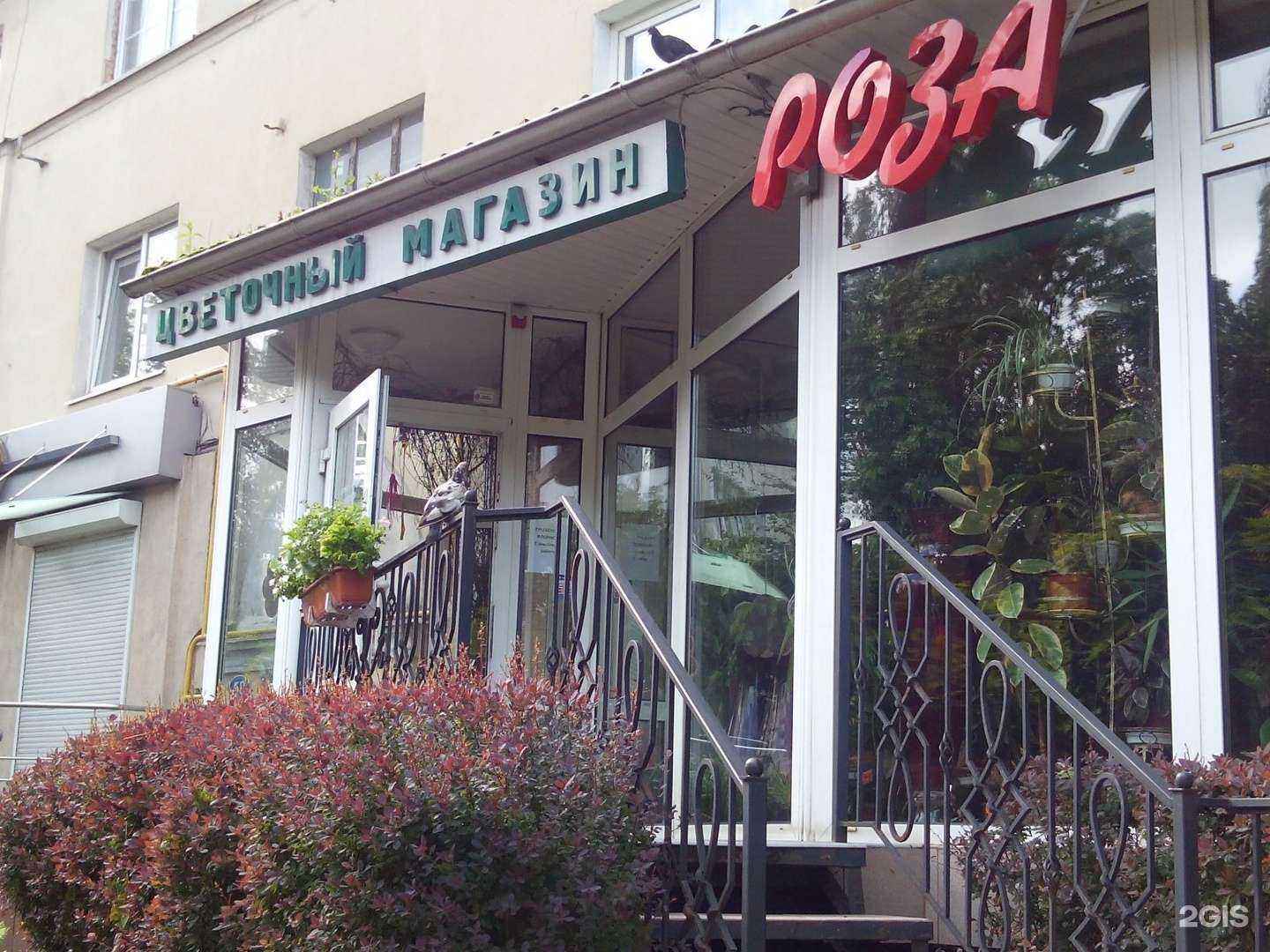 Отзывы на компанию Роза в г. Калининград c фото