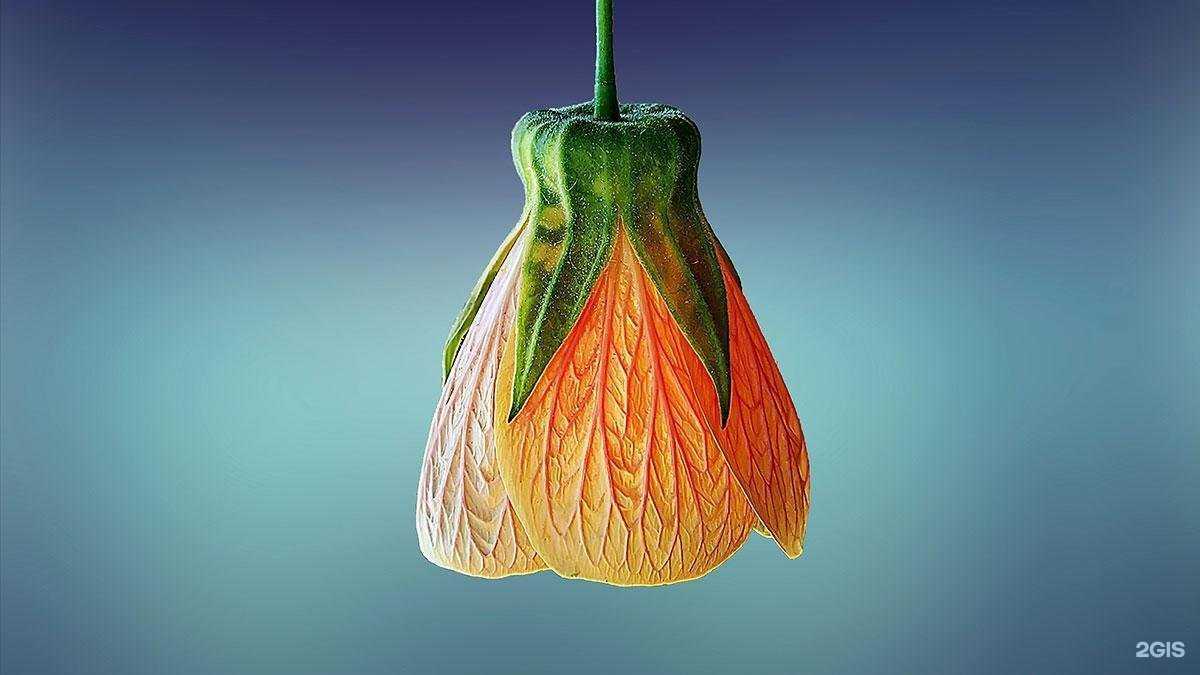 Отзывы на компанию Румдент в Выборге c фото