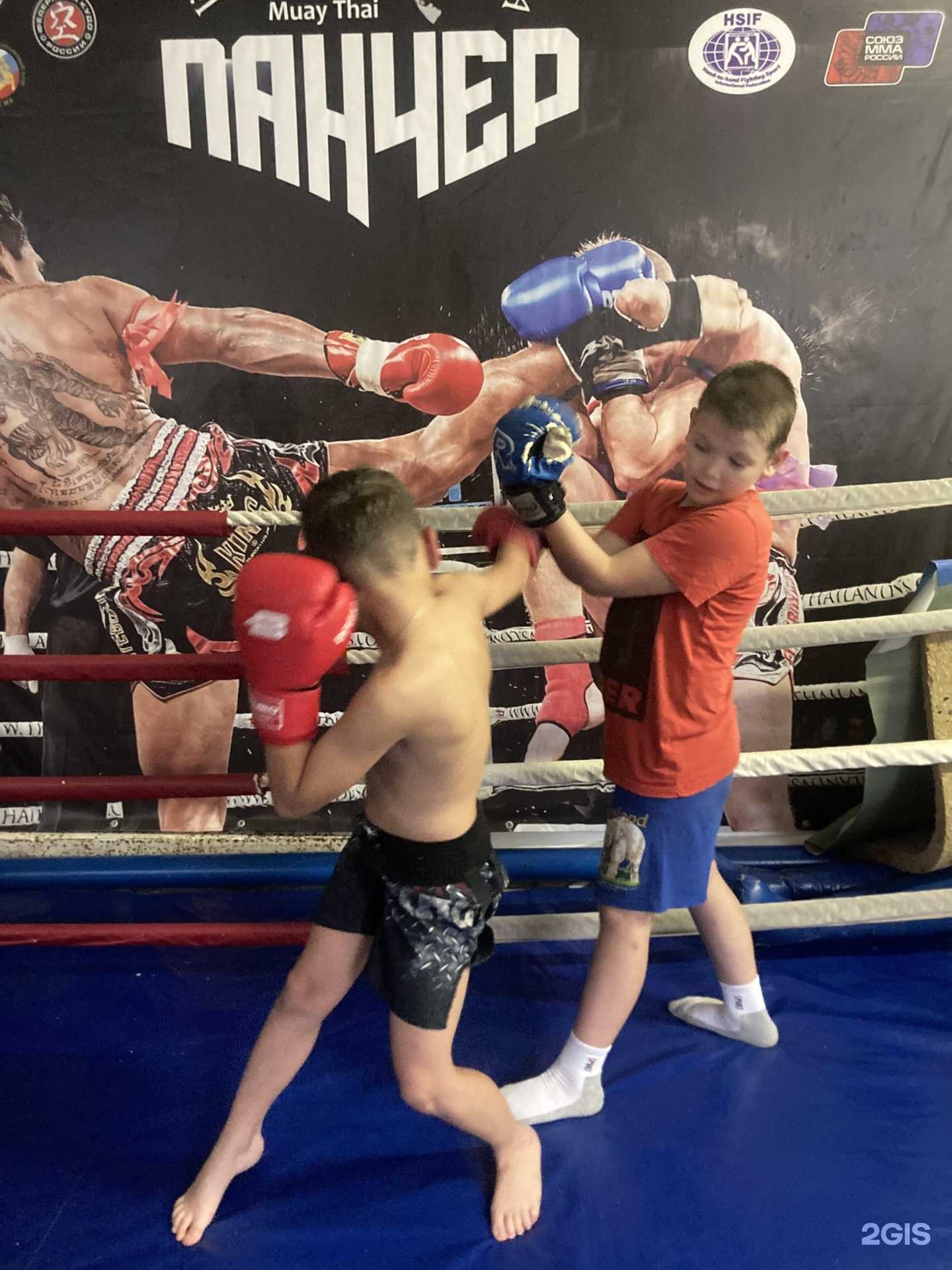 Отзывы на компанию Панчер в г. Пермь c фото