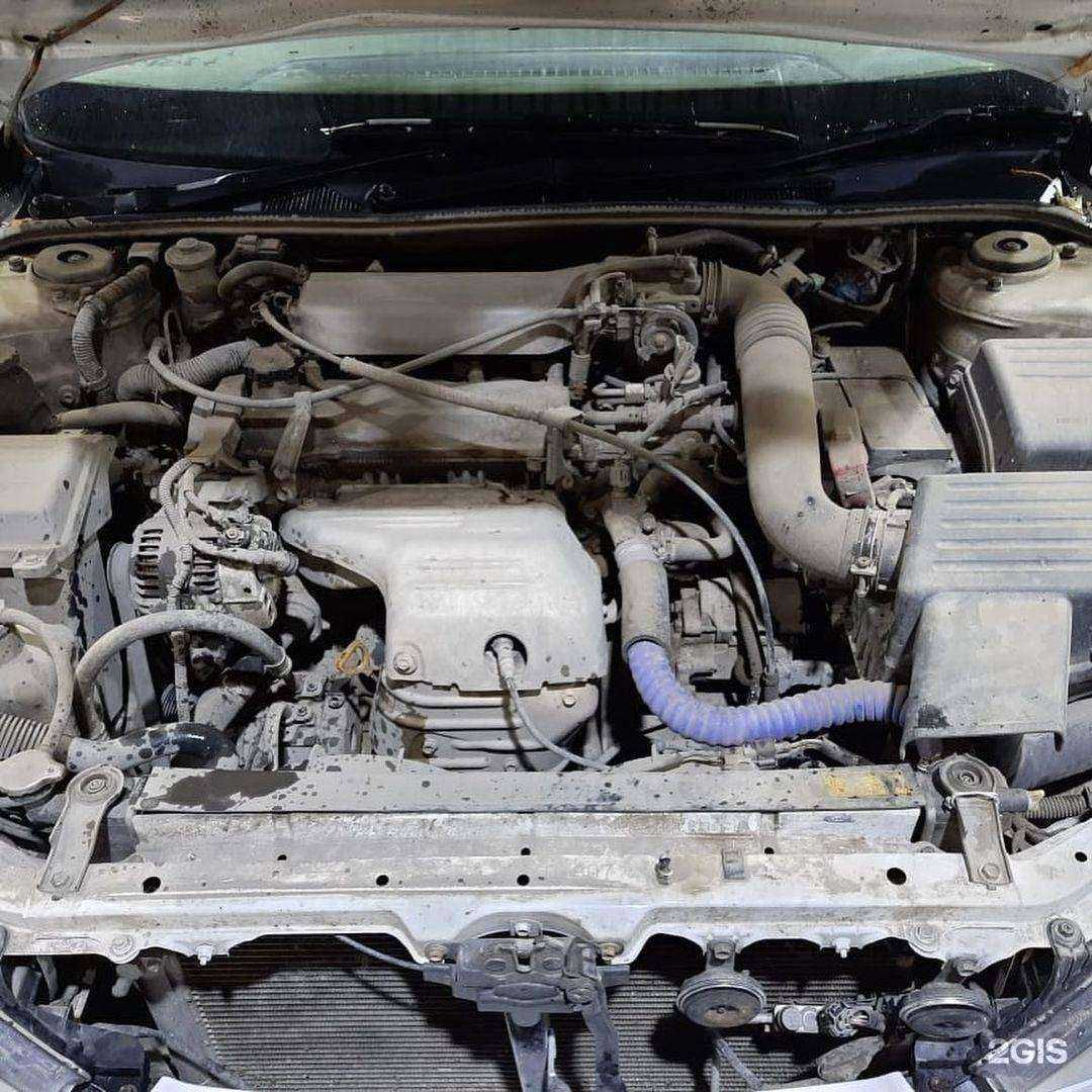 Отзывы на компанию Т9 в Рубцовске c фото