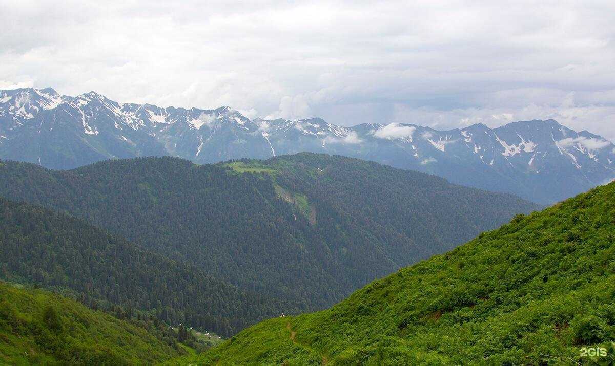 Отзывы на компанию Глобал диалог в г. Сочи c фото