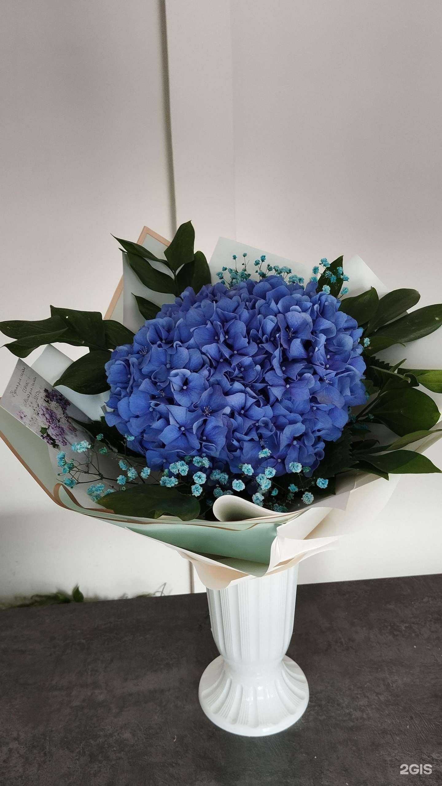 Отзывы на компанию Цветочная Точка в г. Липецк c фото