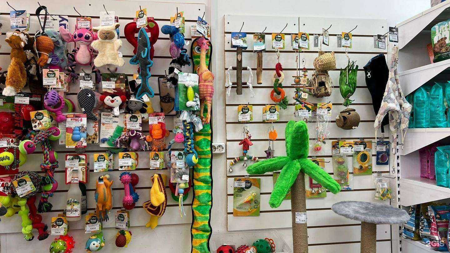 Отзывы на компанию Зоомир в г. Иркутск c фото